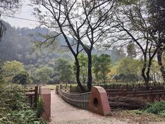 -素山寺森林公园