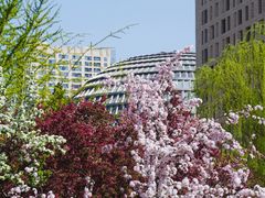 -海棠花溪(元大都城垣遗址公园)