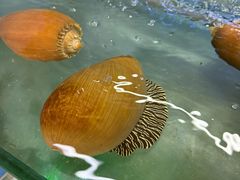 -钱塘府海鲜餐厅