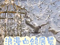 -上海宝龙美术馆
