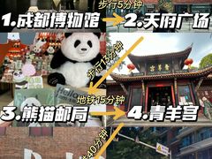 -成都大熊猫繁育研究基地