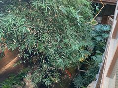 -聚缘堂·海鲜私房菜(松岭路店)