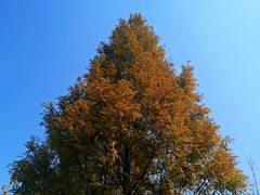 -韶山毛泽东同志故居