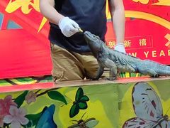-上海大自然野生昆虫馆(东方明珠·爬宠昆虫探索中心)