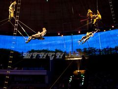 -俄罗斯国家大马戏团