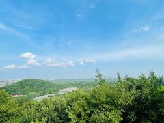 -上海佘山国家森林公园天马山园