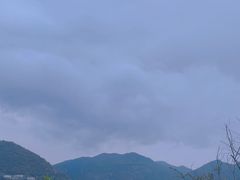 -北岐滩涂