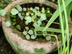 -金稼园·金平湖农家菜