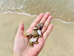 -大梅沙游艇度假酒店