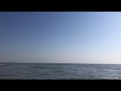 -合肥滨湖国家森林公园