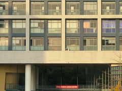 -同济大学附属同济医院分院