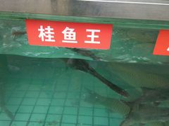 -天怡·鱼工厂(梅溪湖店)