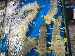 -盛港湾海鲜食府(黄沙店)