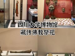 -四川大学博物馆