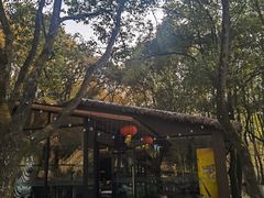 -WeLope紫金山探险公园