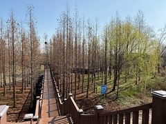 -双山岛