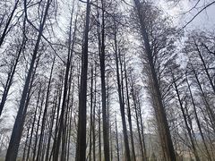 -波尔登森林公园