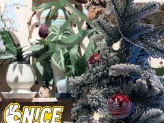 -Rabbit Cafe私房西餐甜点咖啡(栖霞路店)