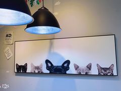 大堂-吃饼人西餐(南开店)