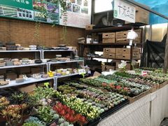 -秦美花卉(天朗·莱茵小城2期店)