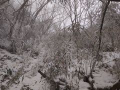 -九峰山