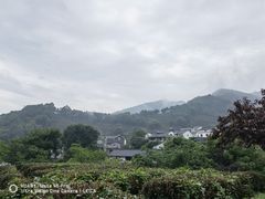 -龙井村
