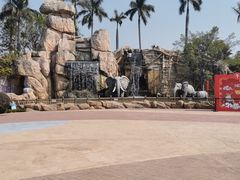 -美的鹭湖探索王国