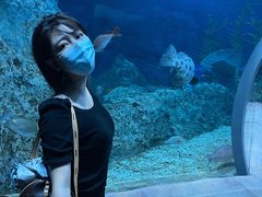 -芜湖新华联大白鲸海洋公园