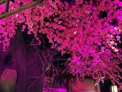 -韵秋荷(宝山龙湖天街店)