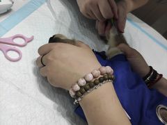 -派特宠物医院(圆融广场店)