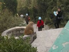 android_upload_pic-神农山景区