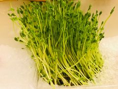 -芭菲盛宴·环球美食(锦城万达广场店)