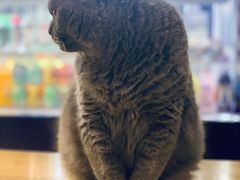 -Rabbit Cafe私房西餐甜点咖啡(栖霞路店)