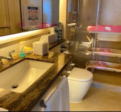 -巍阁高端月子会所