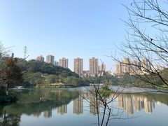 -重庆彩云湖湿地公园