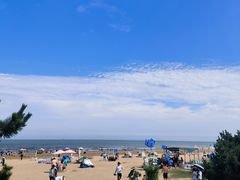 -日照海滨国家森林公园