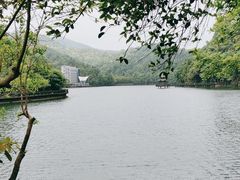 -江西阳明山国家森林公园