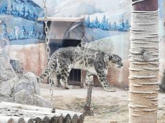 -青藏高原野生动物园