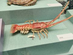 -上海中国航海博物馆