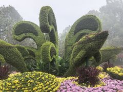 -南山植物园