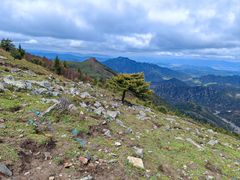-灵山