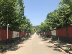-兴教寺