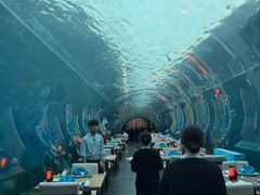 -海棠湾洲际-涛·海底餐厅·美人鱼·自助餐·海底隧道