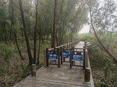 -鱼嘴湿地公园