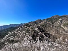 -北京鹫峰国家森林公园