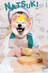 -雅尼·亚米儿童摄影美学馆(汉阳店)