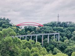 -金鸡山公园