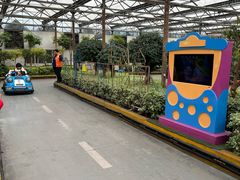 -南宫五洲植物乐园