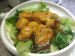 鱼付扒菜胆-淇乐多品味馆(江南大道店)