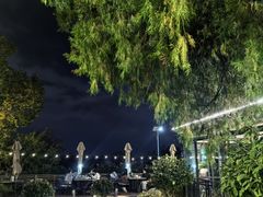 -蘇河湾·新鲁菜·泰山宴(泰山店)